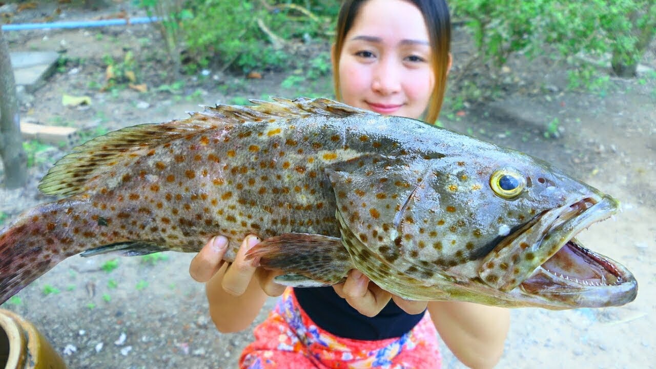 Yummy Giant Grouper Fish Steaming - Giant Grouper Fish Cooking - Cooking With Sros