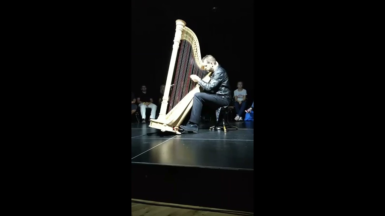 Michal Matejčík- Full Moon Harp recital Depeche Mode ( Trnava 29.6. 2018 )