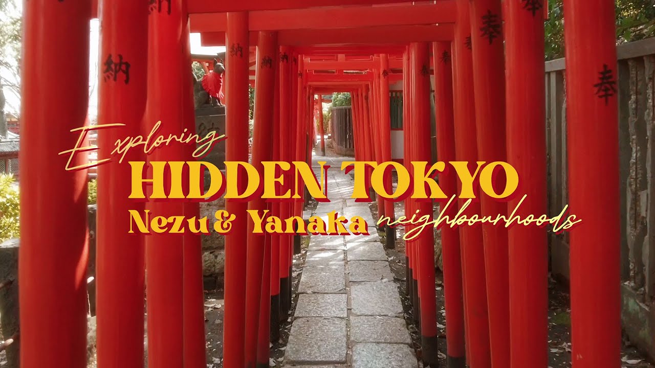 HIDDEN TOKYO ⛩️  Nezu Shrine & Yanaka  🇯🇵 japan solo travel vlog 2023