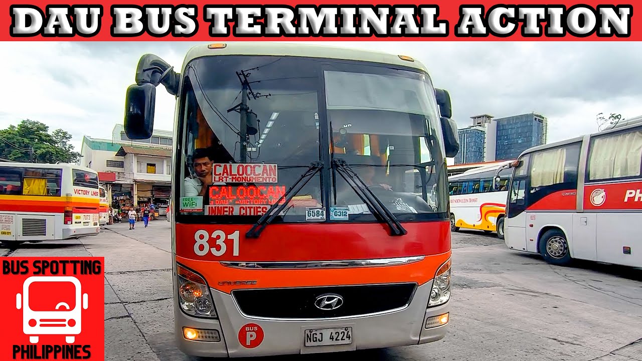 LIBUTIN NATIN ANG DAU BUS TERMINAL | ASSORTED BUS ACTION