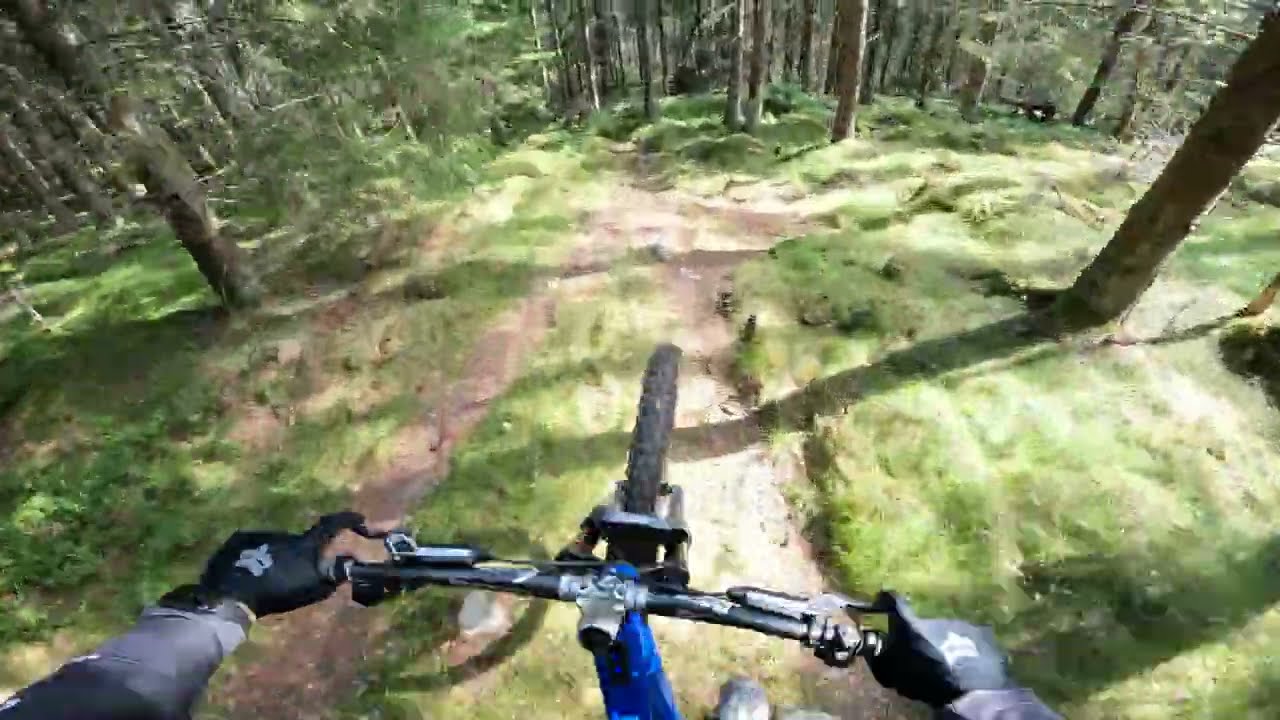 Älmås - V2