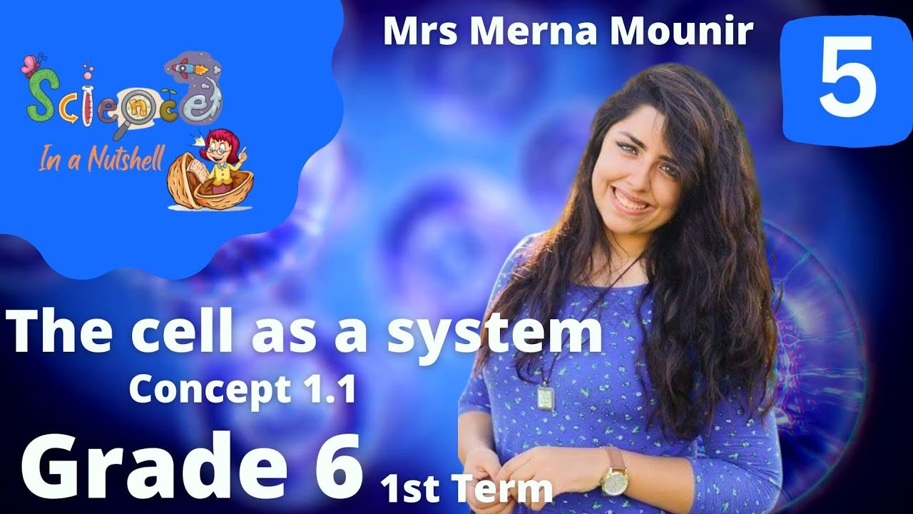 Science-Grade 6-unit 1-concept 1- Video 5