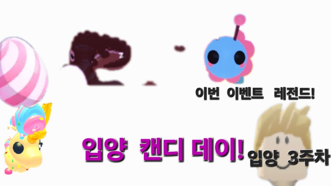 입양에서 '캔디  데이'라는  캔디 이벤트를  한다고?!