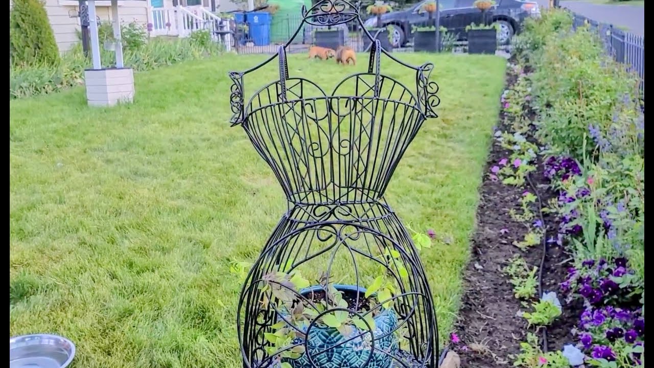 Making a Mannequin Wire Dress Trellis/ Using Proven Winners Lemon A-Peel and Tidal Wave Petunia's