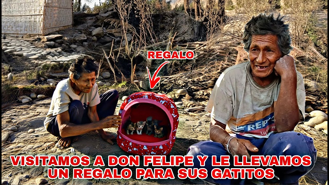 Visitamos a Don Felipe Y Le LLEVAMOS una Hermosa CASA para los Gatitos