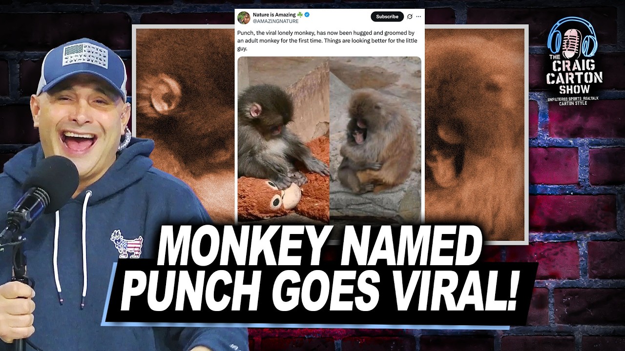 VIRAL MONKEY: Craig Can't Get Enough of Punch! | The Craig Carton Show