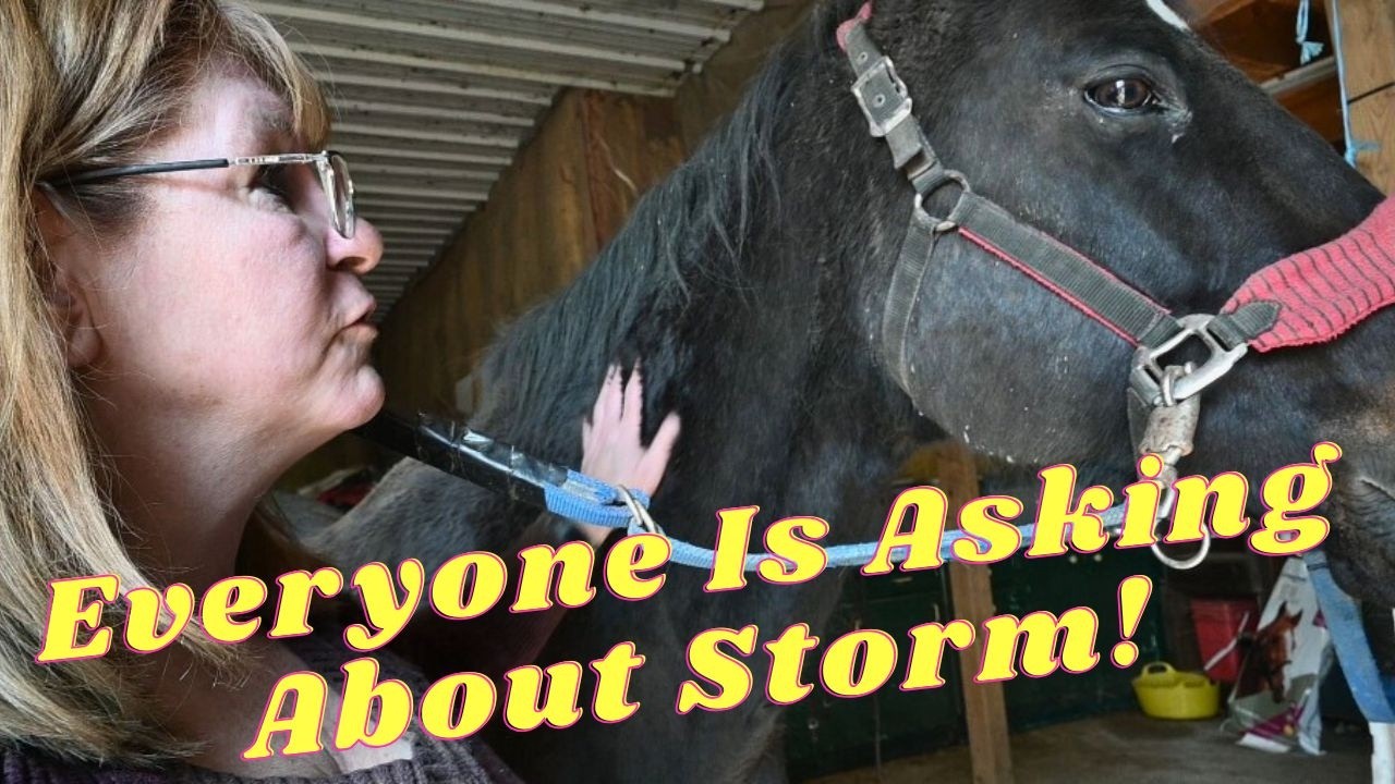 Продажа Storm......