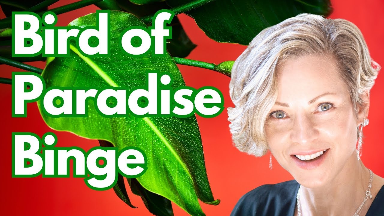 Bird of Paradise MARATHON: 103 Minutes of Plant Bliss 🍃 | (Compilation)