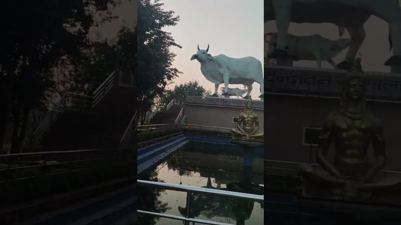 मोरङको सुन्दर वृन्दावन 