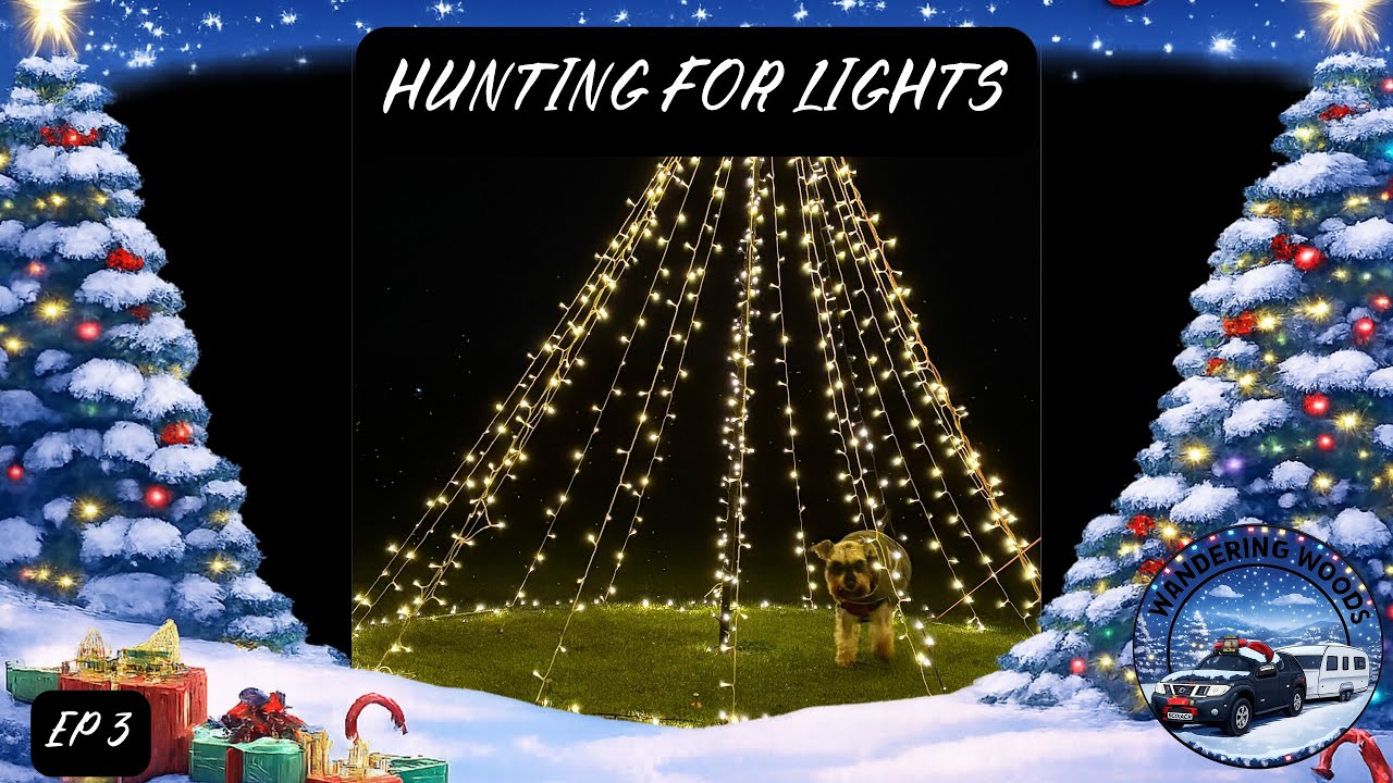 WE GO SEARCHING FOR CHRISTMAS LIGHTS