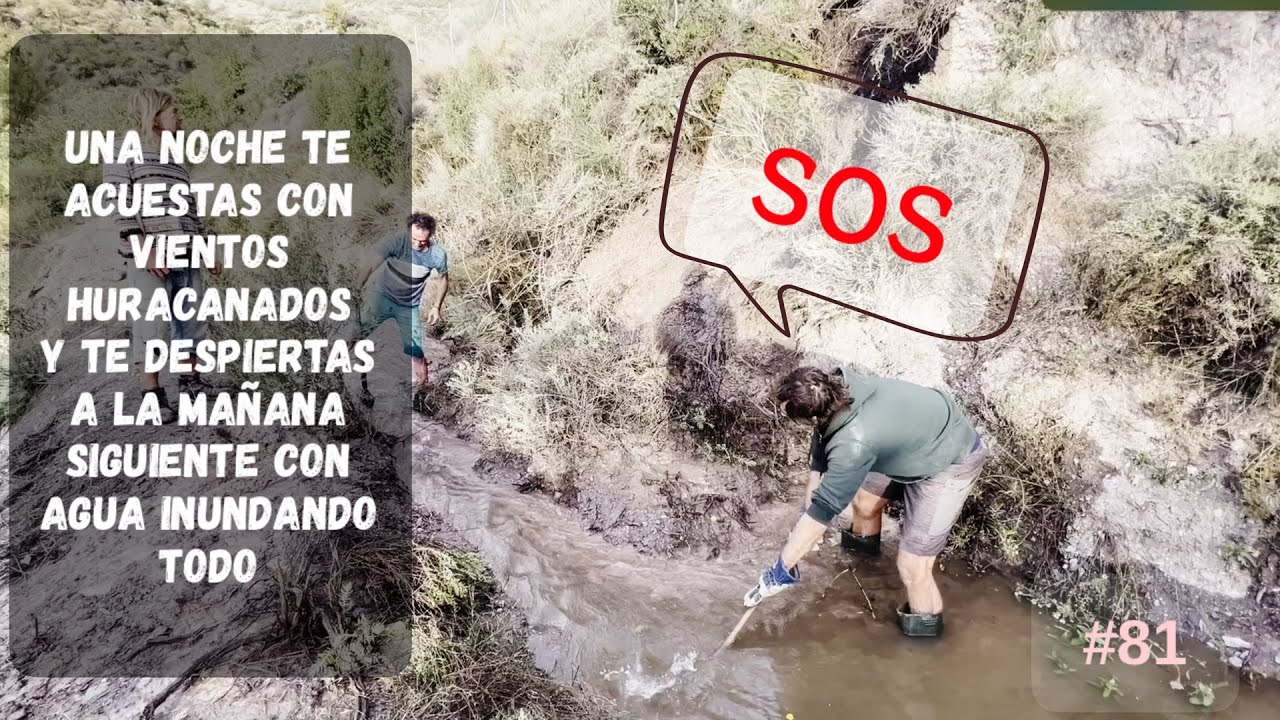 #81 | Mareamos una palmera, adiós alcachofas y la llegada del primer SUSTO del Otoño