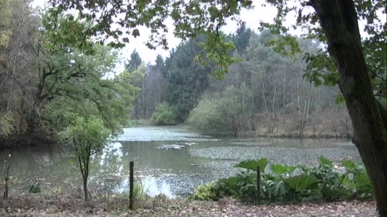 Fietsen in Niedersachsen