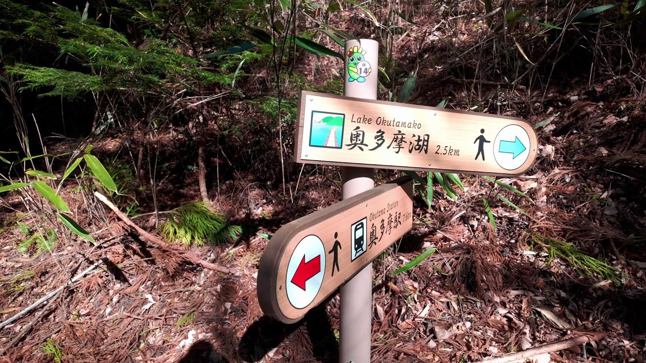 Unhealthy man rawdogged up a mountain in Japan UNCUT
