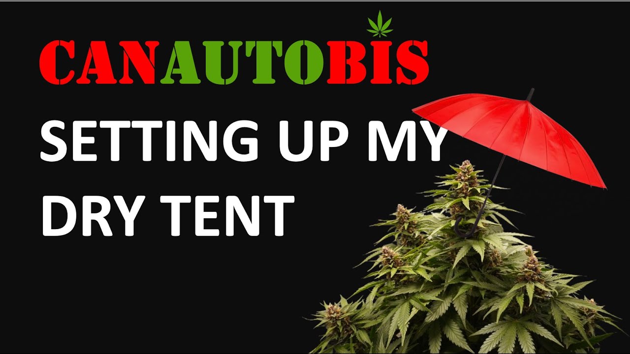 Setting Up a Dry Tent
