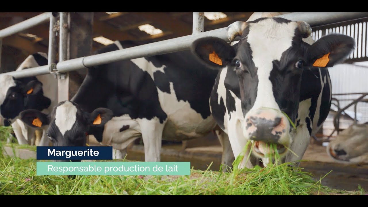 URBASOLAR   Agri PV Aron   VDEF STFR 2910