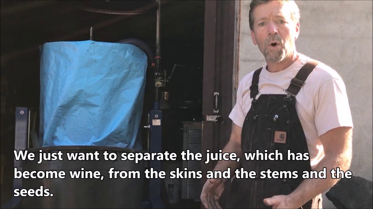 How to Press Wine Grapes