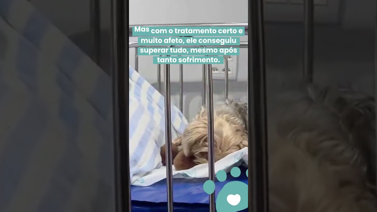 Conhe&ccedil;a a hist&oacute;ria do Mano