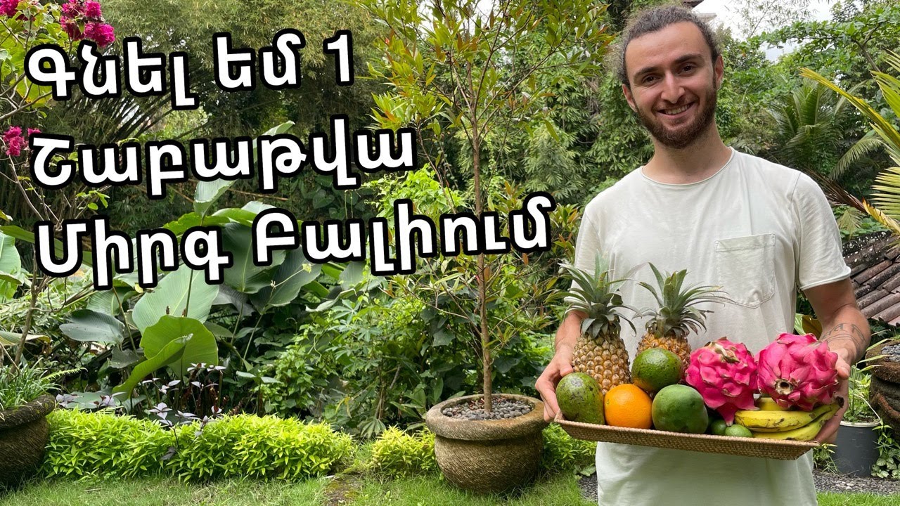 Ինչ մրգեր եմ ուտում Բալիում