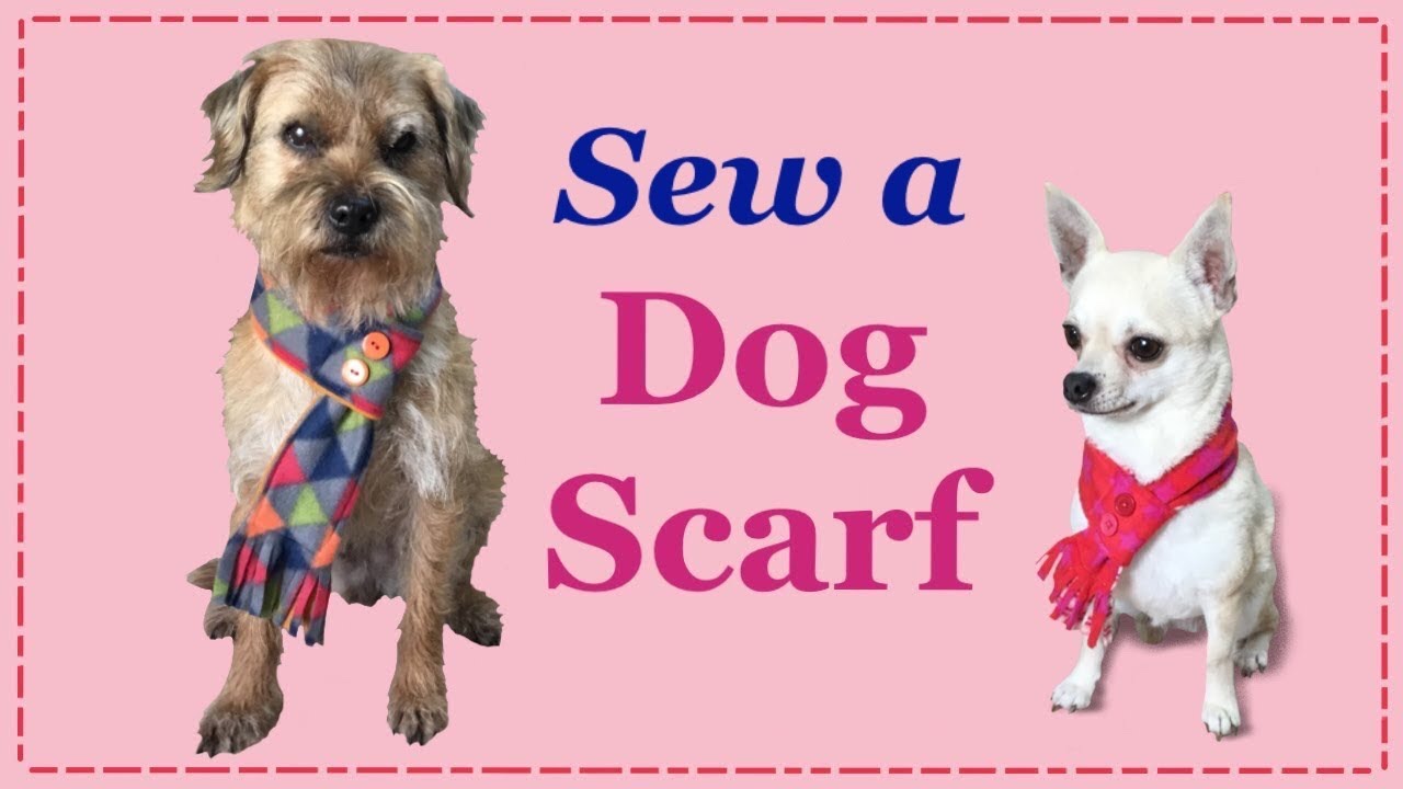 How To Sew an EASY Dog Scarf!