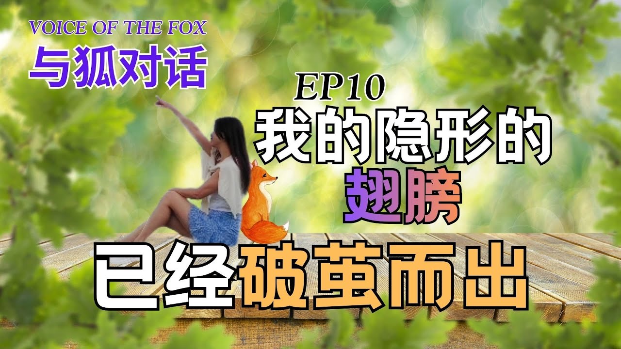 与狐对话EP010 我的隐形的翅膀，已经破茧而出