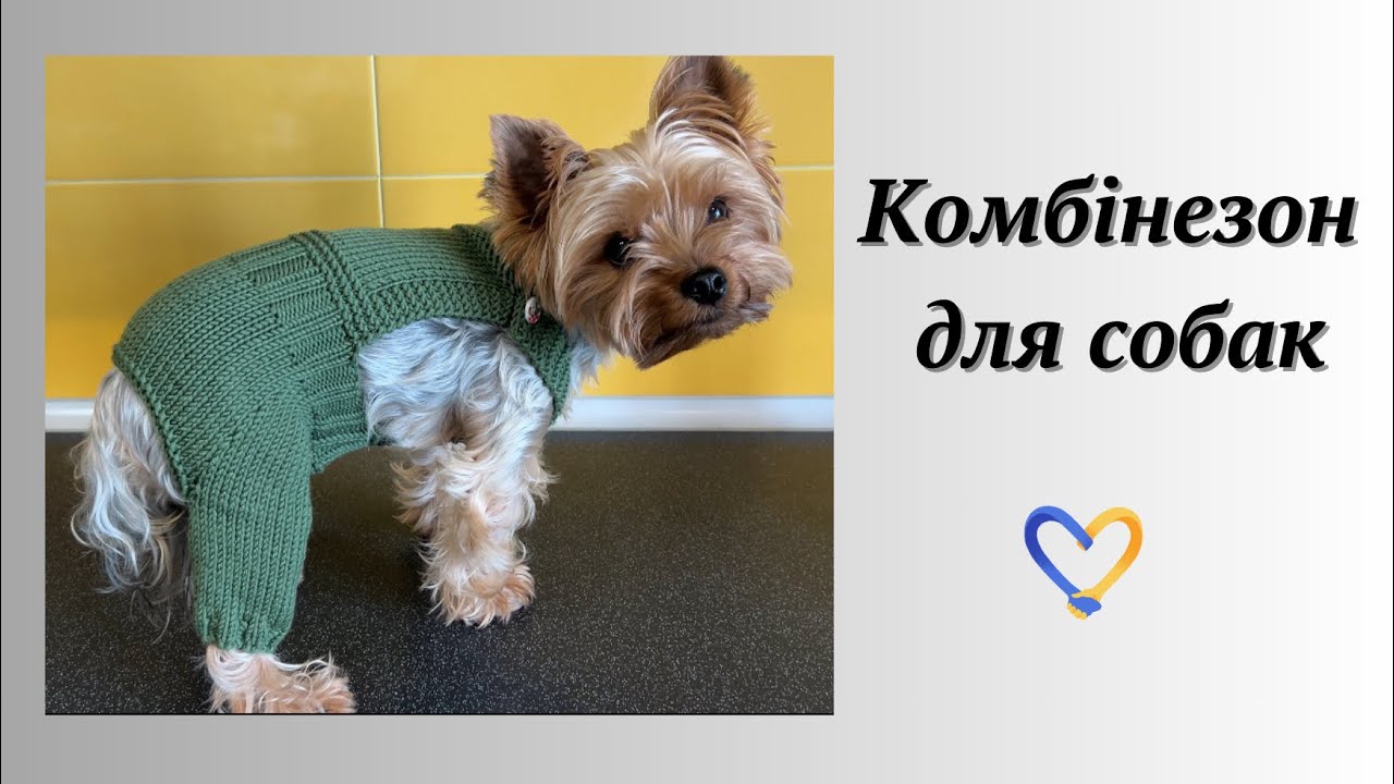 Комбінезон / штани / для собак спицями / Детальний МК