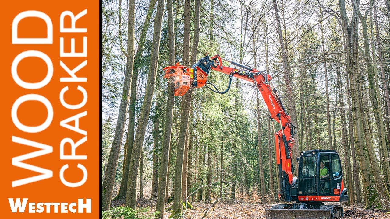 Kraftpaket in Aktion: Die neue Greifersäge Woodcracker® CS545 compact am Kompaktbagger
