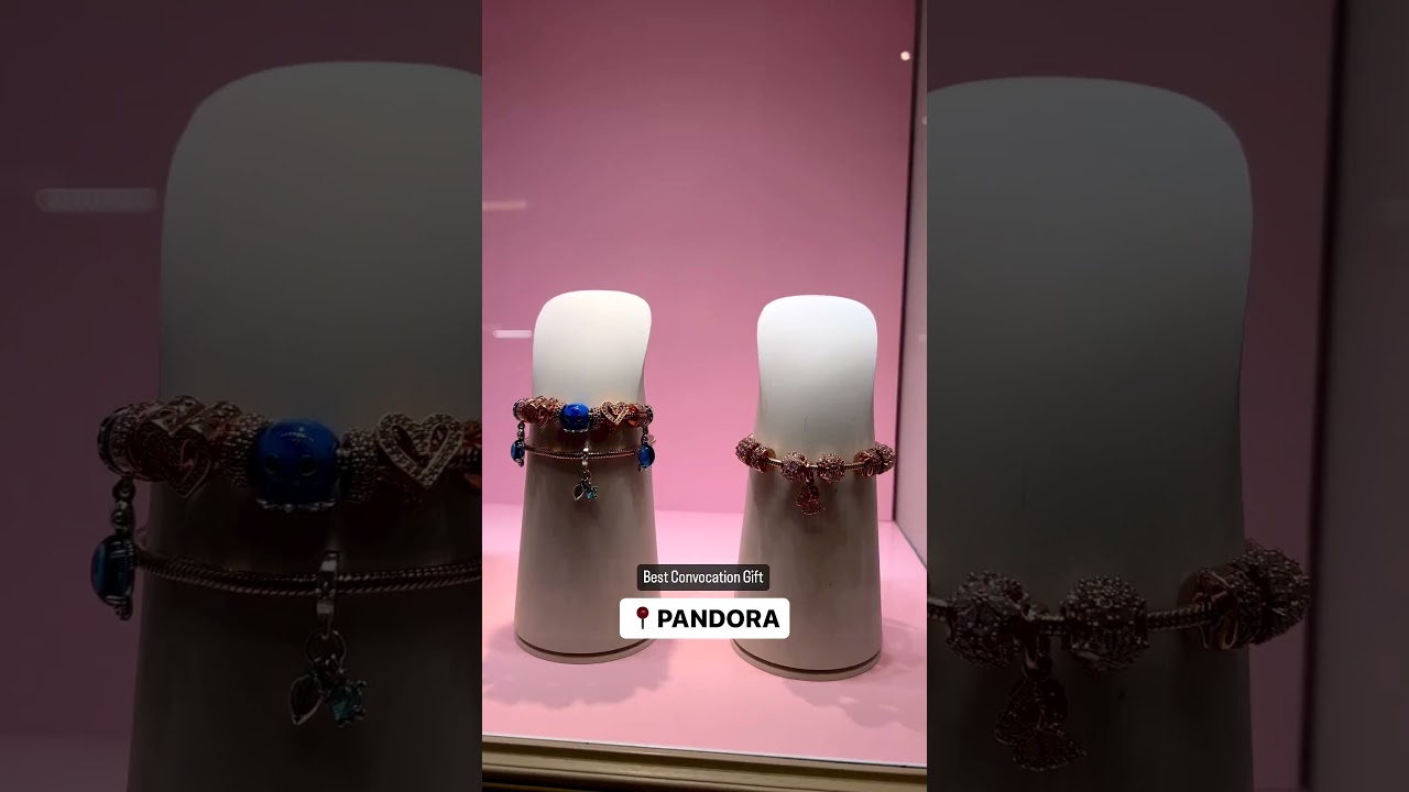 Got The Perfect Pandora Charm for My Sister 💕