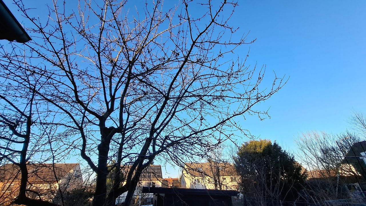 Lovely Weather | Blurred Vision si Kulasa
