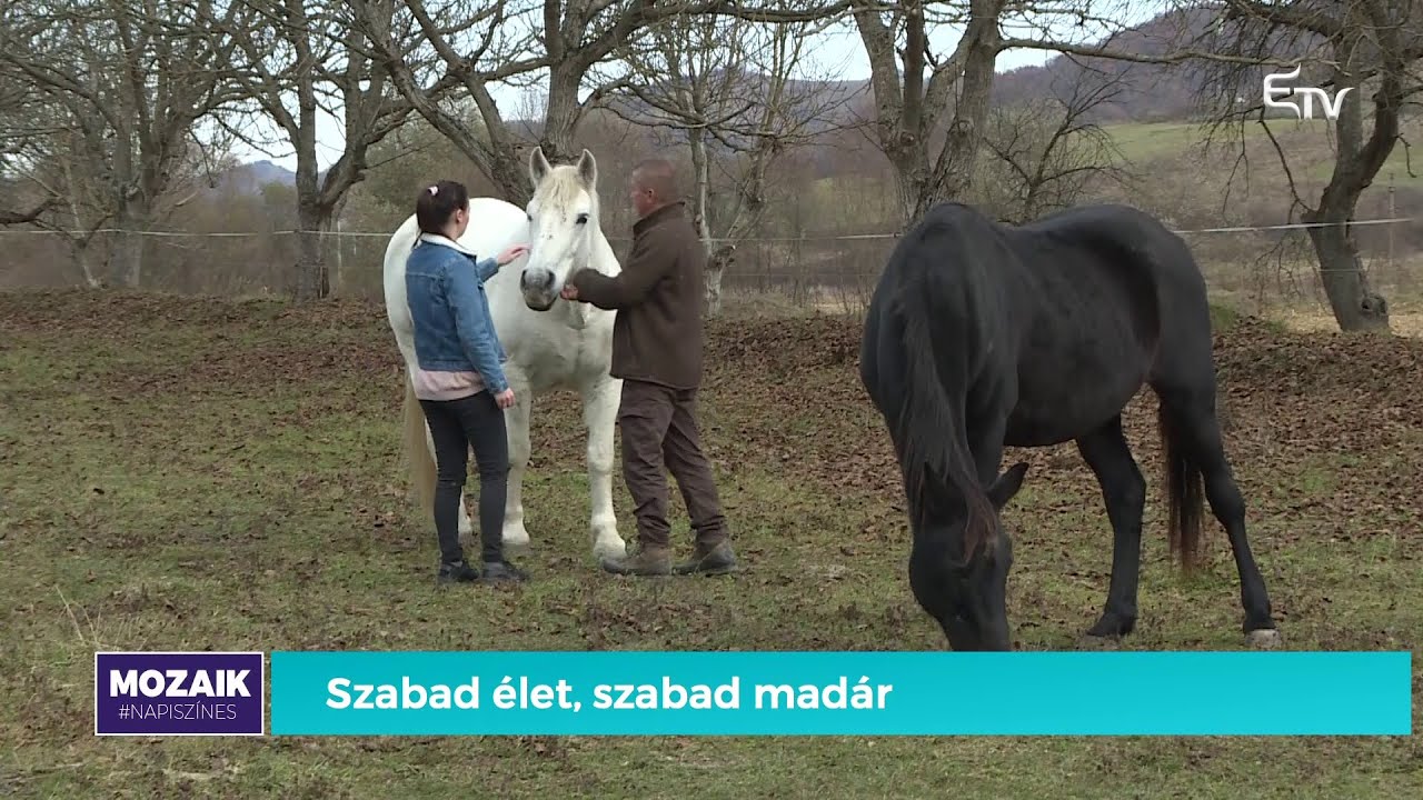Szabad élet, szabad állattartás – Újragombolva