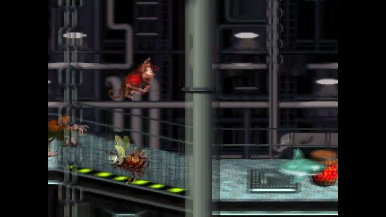 DKC: Enemy Rando