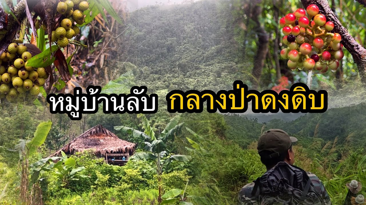 เดินทางเข้าป่าในหมู่บ้านกลางป่าระหว่างทางได้ยินสัตว์ร้องคำรามลั่นป่าทางป่าหน้าฝนต้องระวังอันตราย ￼