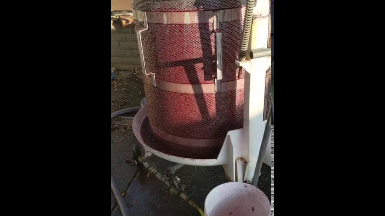 Wine Press with Pressure