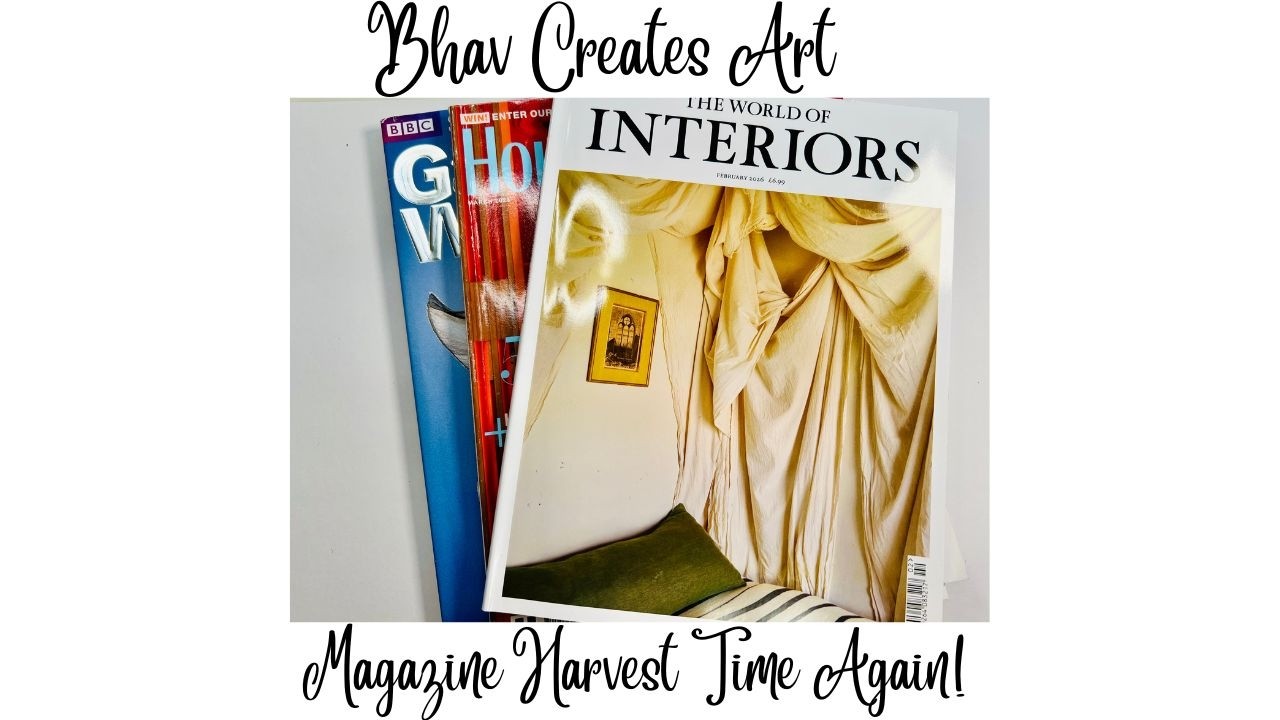 Its Magazine Harvesting Time & Chit Chat!