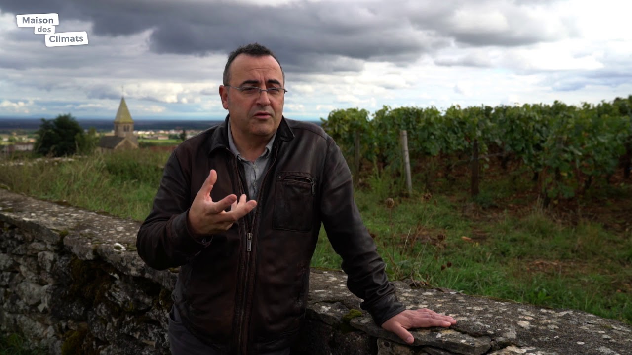 Maison des Climats - Géologie - Diversité de sols et diversité de vins