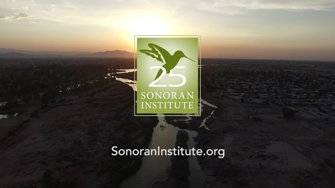 We Believe in Protecting the Environment