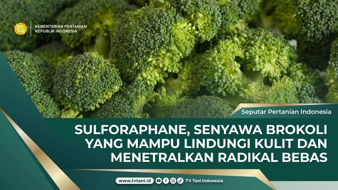 Kulit Glowing dengan Konsumsi Empat Sayur Ini!