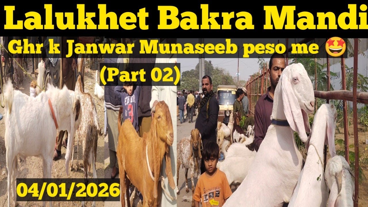 Lalukhet Bakra Mandi latest update Karachi ||04 January 2026|(Part 02)Ghr k Janwar Munaseeb peso me🤩