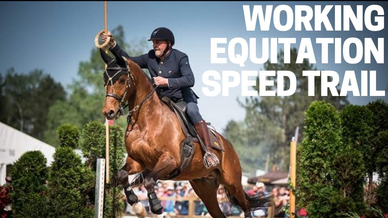 Working Equitation - DER Speed Trail 🔝 | Thomas Türmer & Orlando | Pferd International München