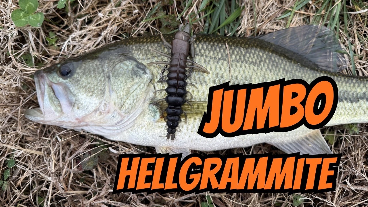 Late Winter Bass CAN’T RESIST this Bait!