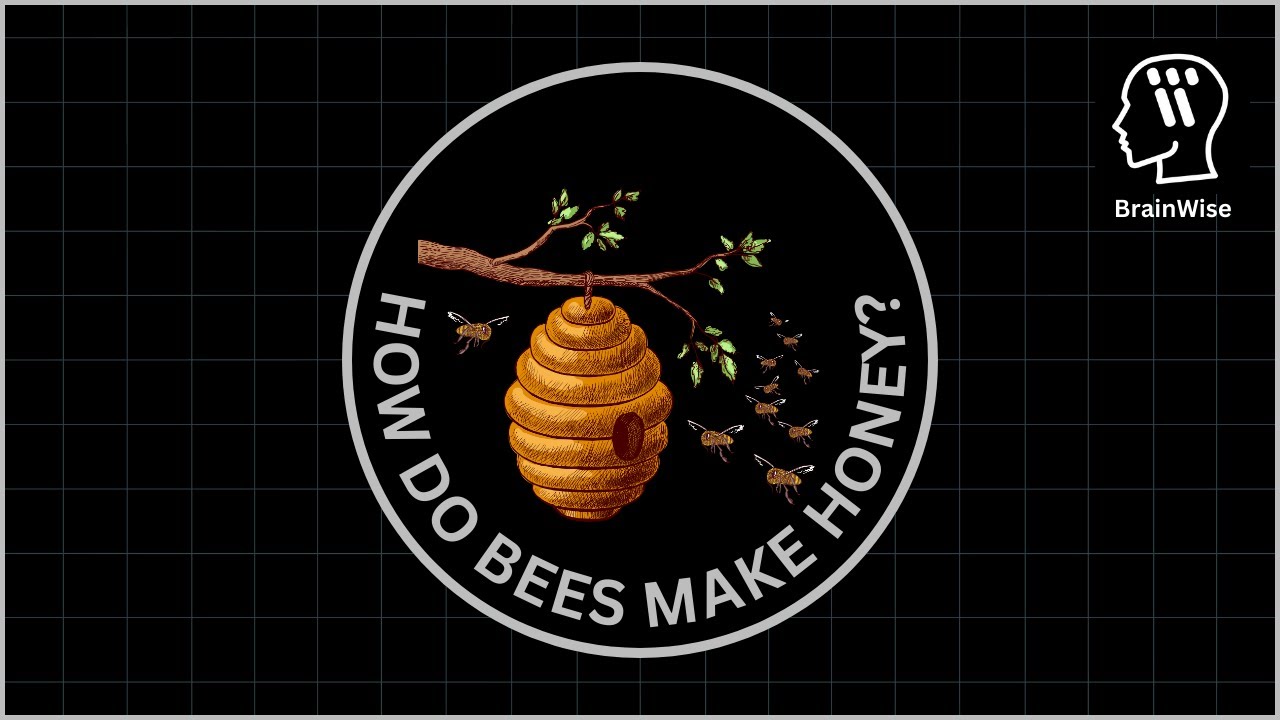 How Do Bees Make Honey?