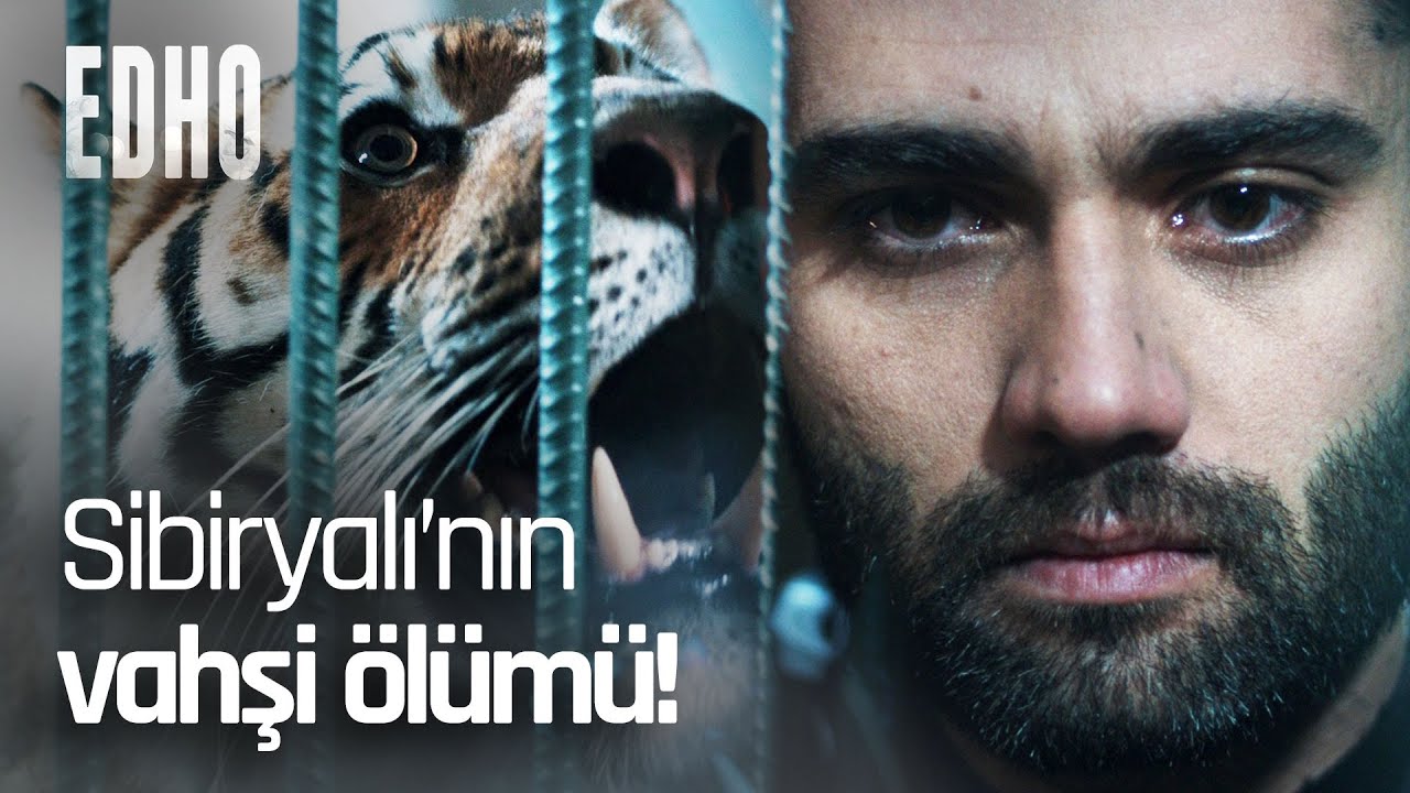 Sibiryalı'nın cezası kaplana yem olmak! - EDHO Efsane Sahneler