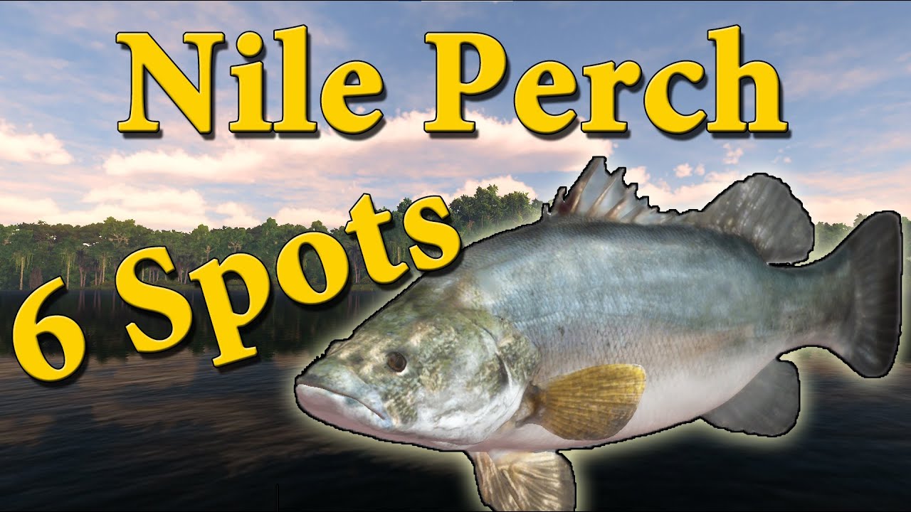 Fishing Planet: Jak łowić okonie nilowe? 3 Unikaty w 20 min