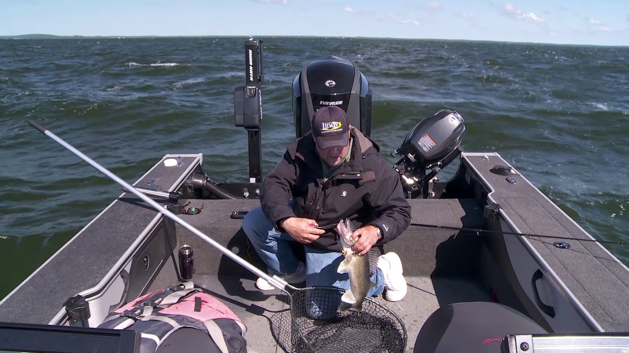 AGGRESSIVE SUMMER WALLEYES
