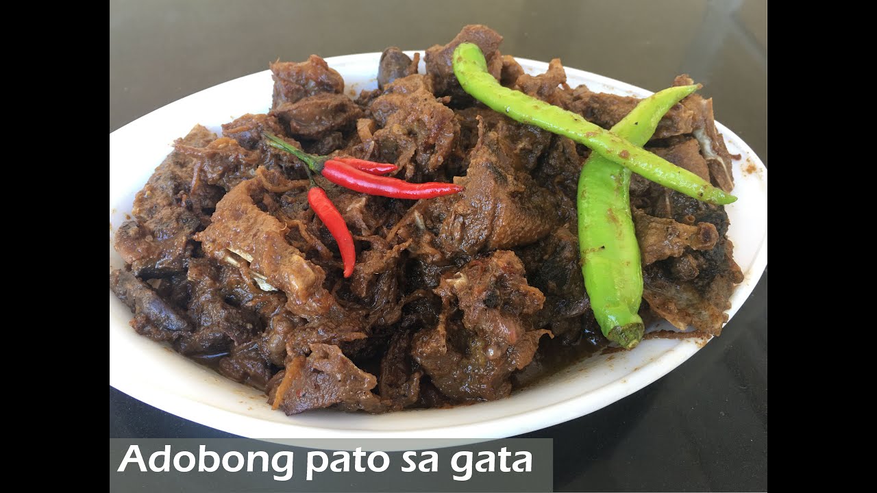 adobong pato na may gata