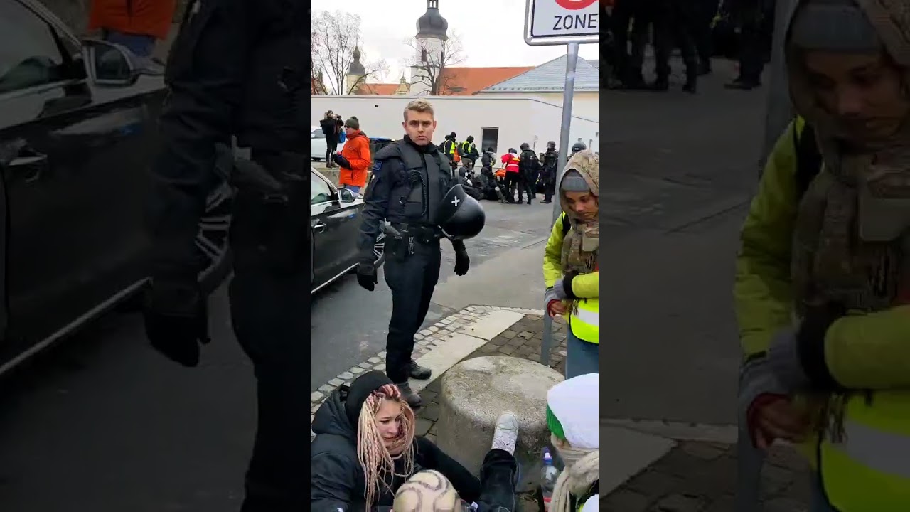 Weidels prügelender 