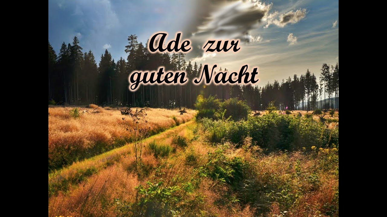 Ade zur guten Nacht - MGV 