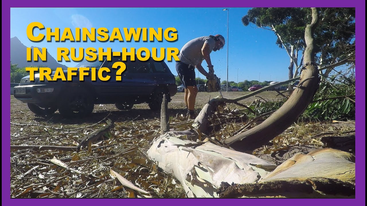 These drivers must think I'm crazy! - Chainsawing firewood on Cape Town Highway