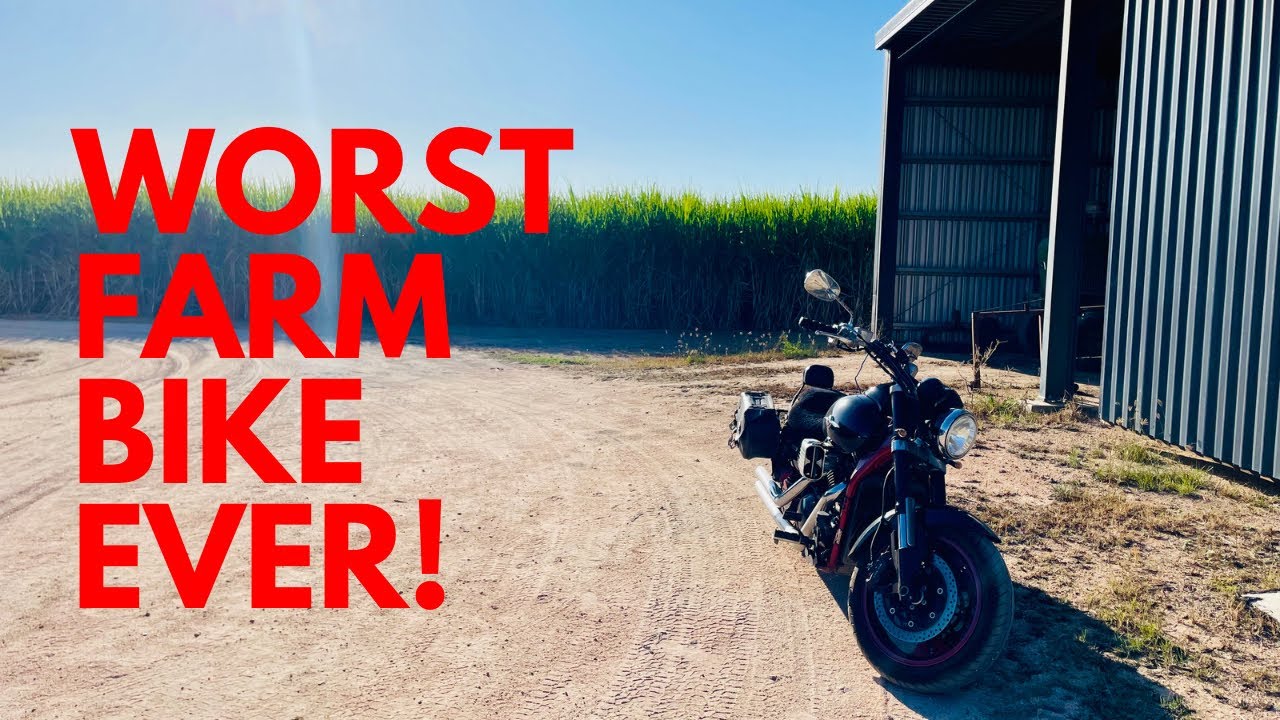Man rides through cane fields on inappropriate motorcycle.