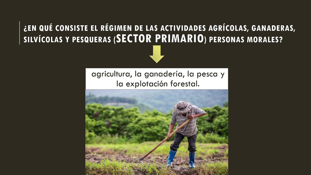 RÉGIMEN DE ACTIVIDADES AGRÍCOLAS, GANADERAS, SILVÍCOLAS Y PESQUERAS (personas morales)