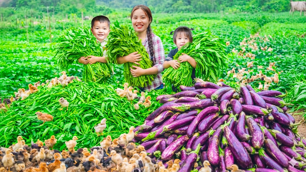 Harvesting Giant Vegetable Garden to Sell at Market - Buy Baby Chickens and Take Care of Them